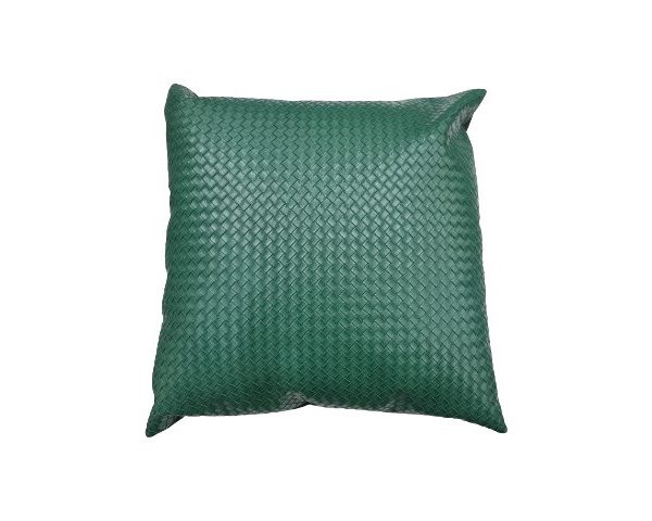 COUSSIN 43X43 REF 01 COULEUR VERTE