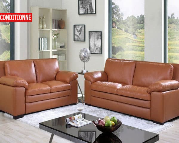 SALON CUIR 6 PLACES S-131 COULEUR GRIS SILVER A99 RECOND